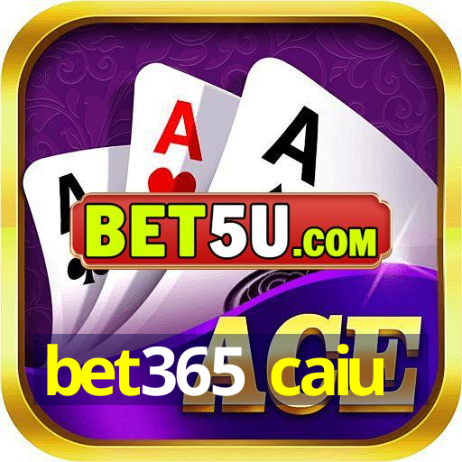 bet365 caiu